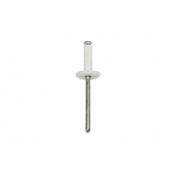 REMACHE FLOR CABEZA ANCHA 4,8X21MM BLANCO