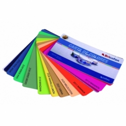 CARTA COLORES ABANICO PINTURAS MONOCAPA
